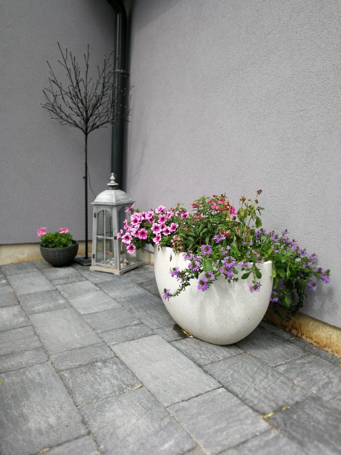 Zsinkó Villa Pécs Exterior foto